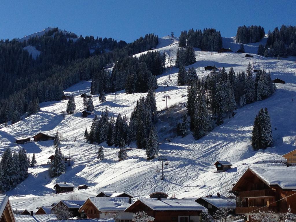 Chalet Butterfly Adelboden Quarto foto